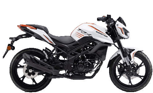QJ MOTOR TRX 125cc